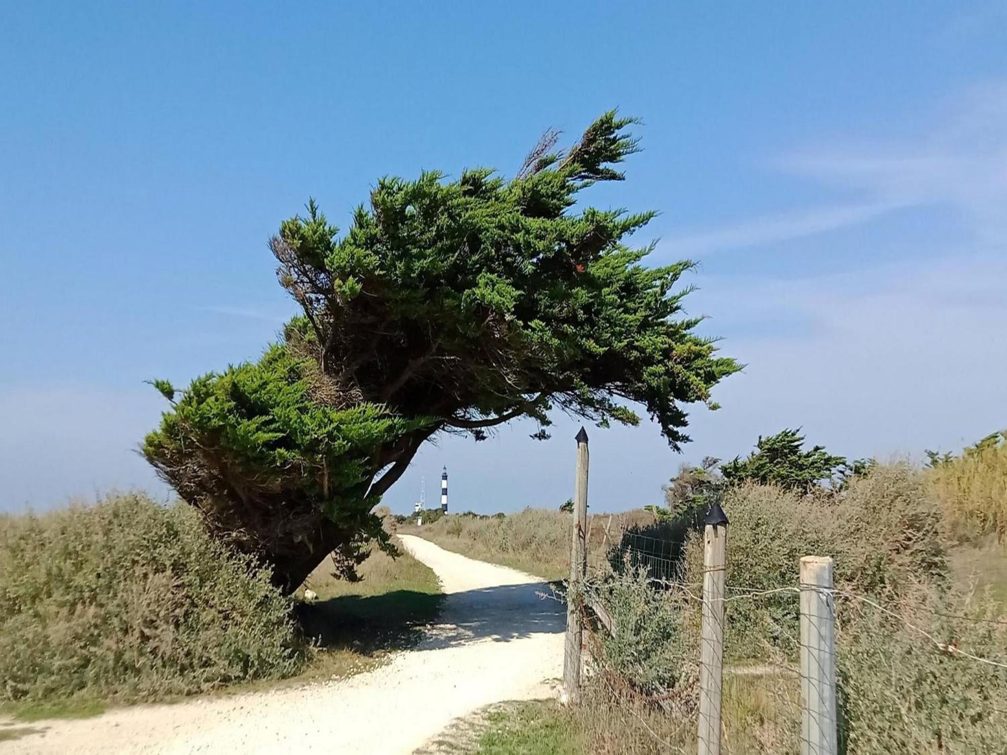 Les Hameaux Des Sables Vignie Saint Georges D Ol Ron Holiday Home Not Detached מראה חיצוני תמונה