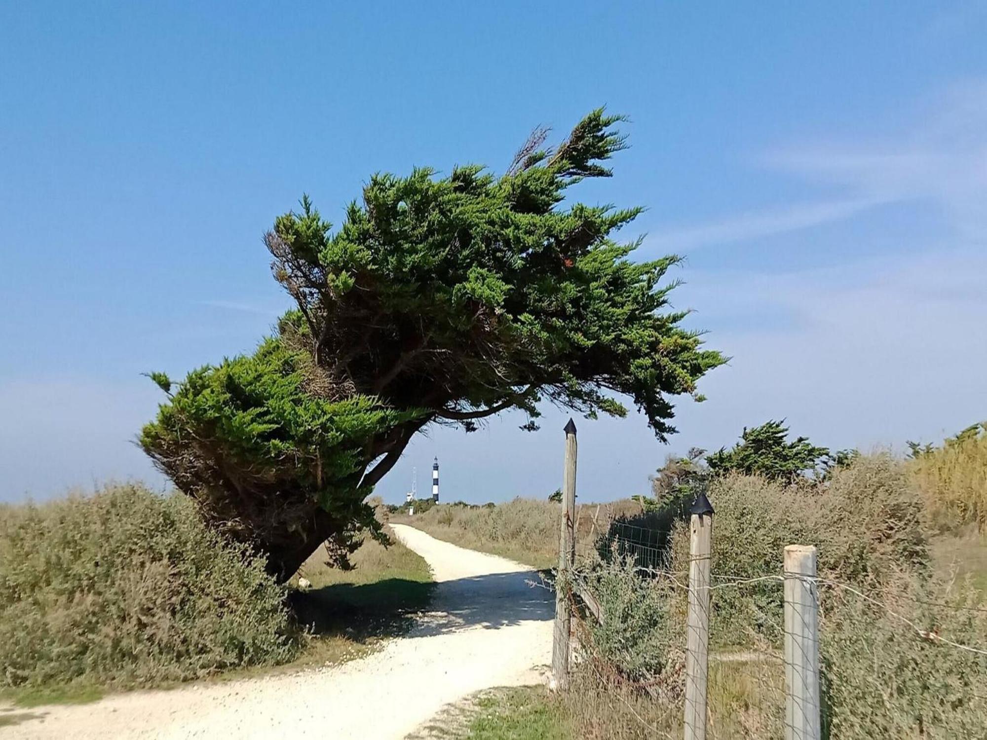 Les Hameaux Des Sables Vignie Saint Georges D Ol Ron Holiday Home Not Detached מראה חיצוני תמונה